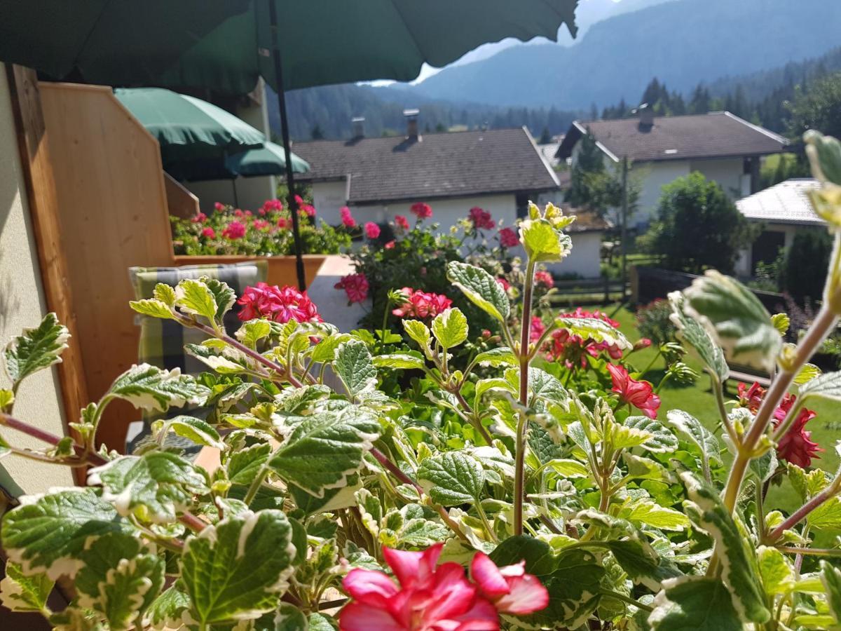 Gaestehaus Schoeneweiss Ehrwald Zewnętrze zdjęcie